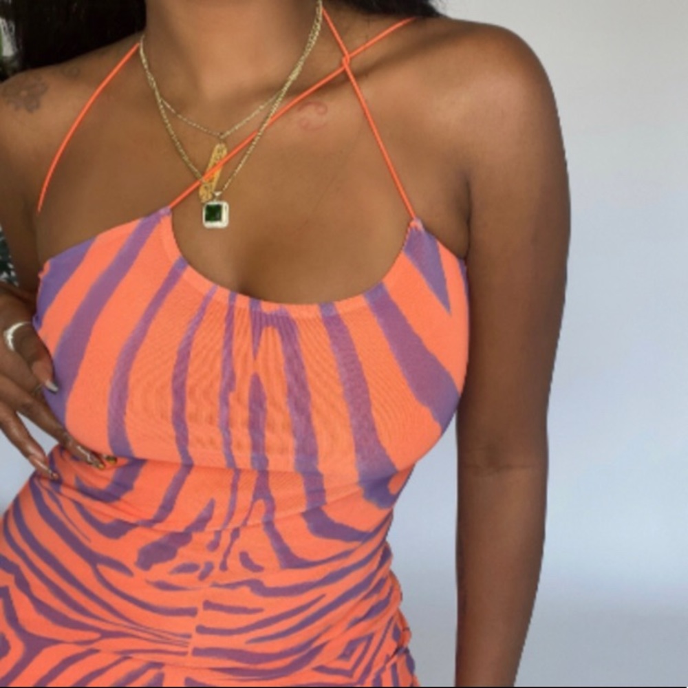 Analiene Mesh Dress